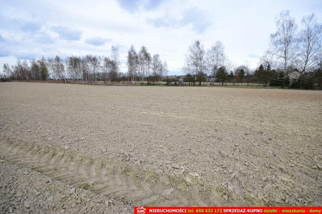 Atrakcyjne działki blisko Lublina i lasu i rzeki.