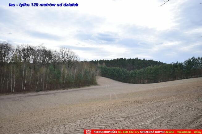 Atrakcyjne działki blisko Lublina i lasu i rzeki.