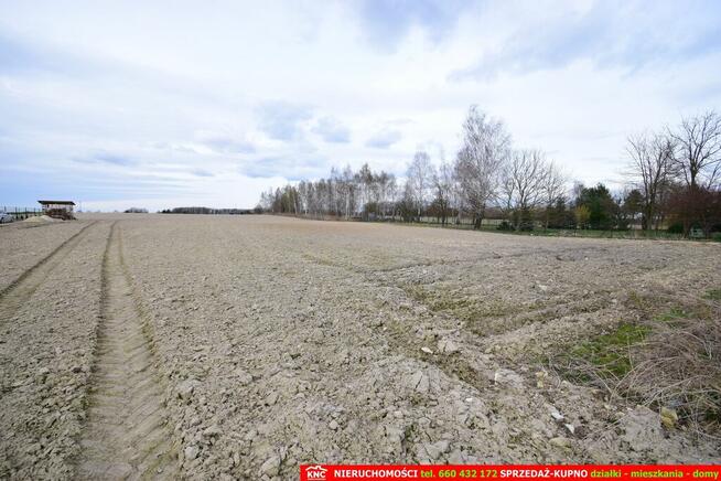 Atrakcyjne działki blisko Lublina i lasu i rzeki.
