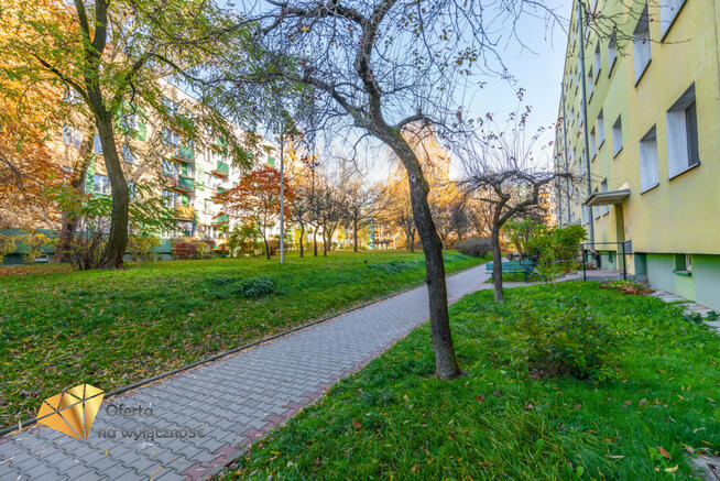 Mieszkanie Lublin Lsm,