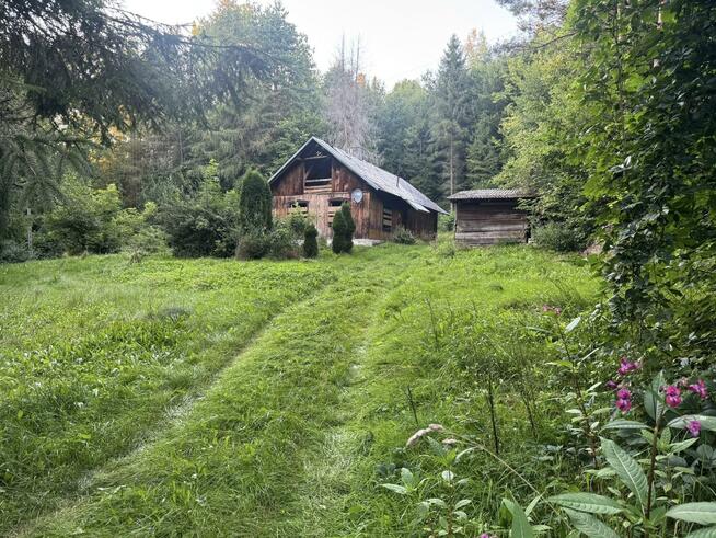Działka Łączki Jagiellońskie gm. Wojaszówka
