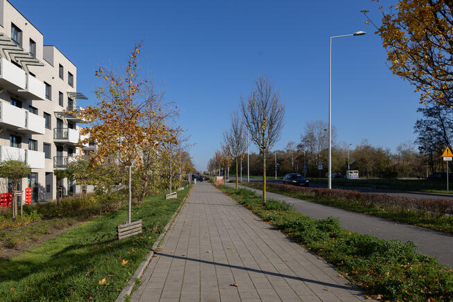 RACŁAWICKA 111A | adres dla Twojego biznesu