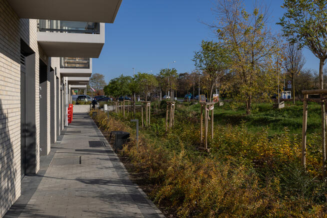 RACŁAWICKA 111A | adres dla Twojego biznesu