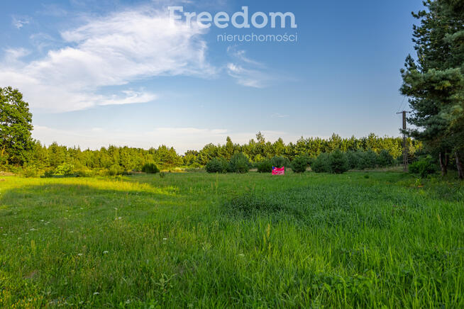 Piękna działka budowlana 1Grzegorzewice Żabia Wola