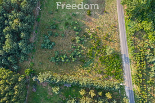 Piękna działka budowlana 1Grzegorzewice Żabia Wola