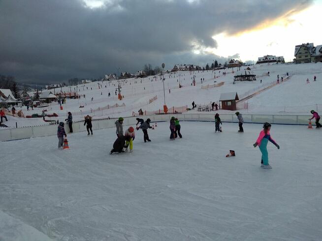 ZIMOWISKA W GÓRACH - FERIE 2026