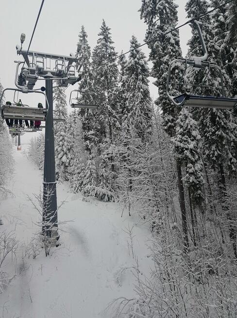 ZIMOWISKA W GÓRACH - FERIE 2026