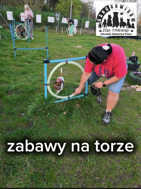 Szkolenie Psów Gdańsk Gang Urwisów