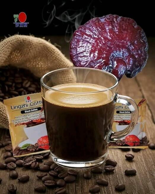 Spotkanie Ganoterapia &Sunya wstęp wolny