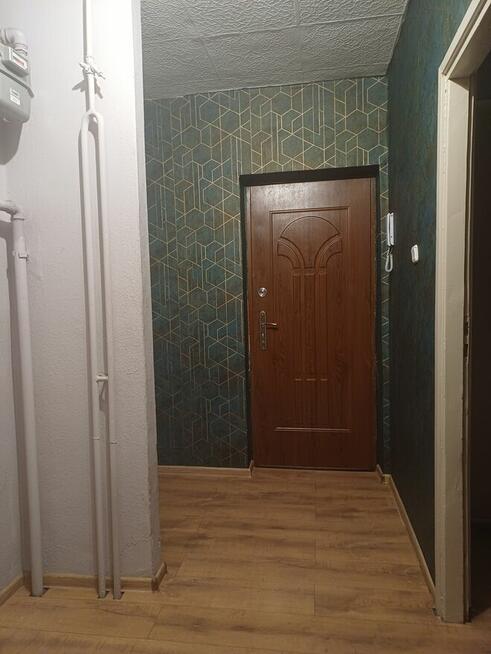 Wynajem M-4 Tysiąclecie