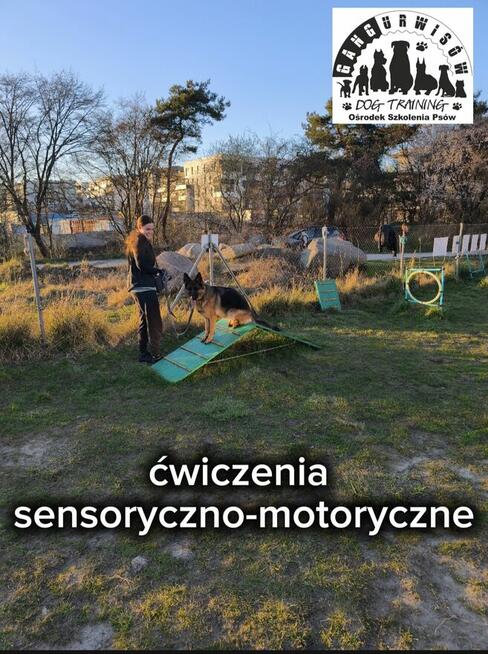 Szkolenie Psów Gdańsk Gang Urwisów