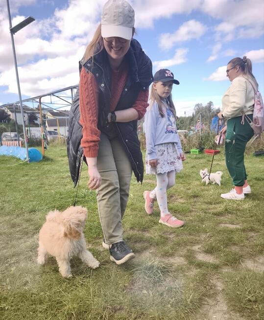 Przedszkole dla Szczeniąt Gdańsk Gang Urwisów