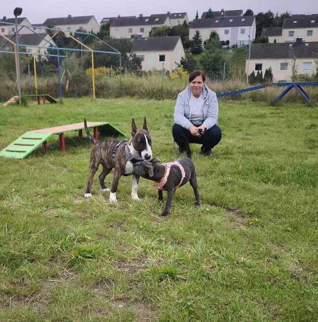 Przedszkole dla Szczeniąt Gdańsk Gang Urwisów