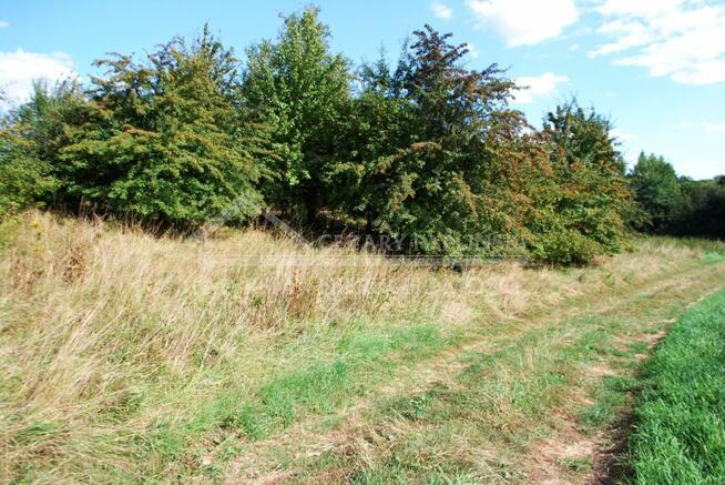 Działka budowlana Snopków gm. Jastków, Snopków, gmina Jastków