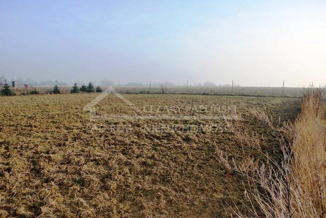 Działka budowlana Dziuchów gm. Niemce, Dziuchów