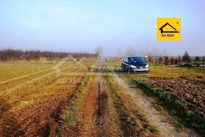 Działka budowlana Dziuchów gm. Niemce, Dziuchów