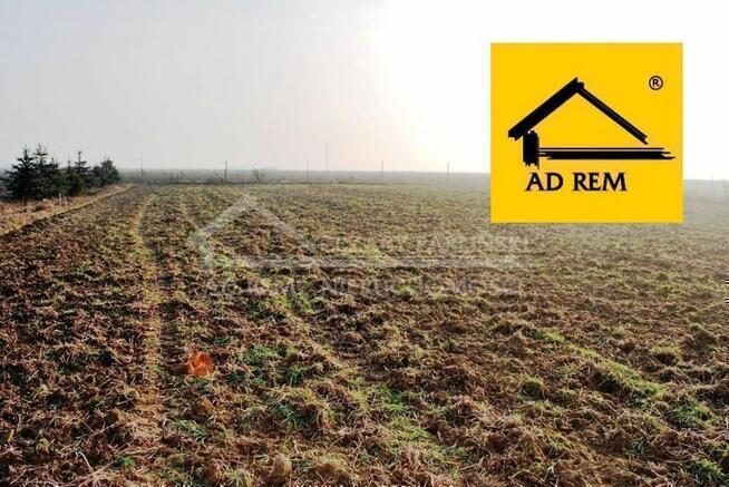 Działka budowlana Dziuchów gm. Niemce, Dziuchów