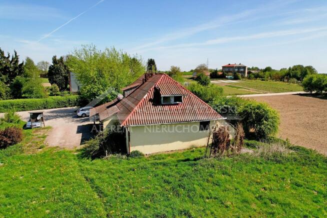 Lokal użytkowy Skowieszynek gm. Kazimierz Dolny, Skowieszynek