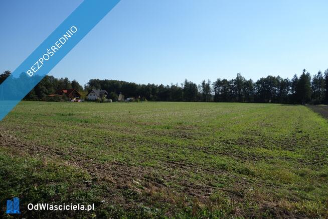 Skoczów Ochaby 1,62ha z prawem zabudowy pod stadnine agroturystyke