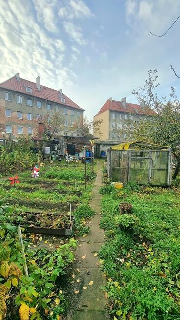 3 pokoje, garaż, ogródek