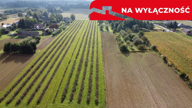 Działka, Motycz, 8.5ar, budownictwo jednorodzinne