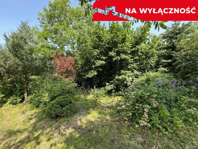 Działka 0,21 ha w Kaliszanach Kolonii gm. Józefów.