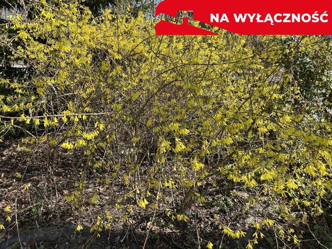 Działka 0,21 ha w Kaliszanach Kolonii gm. Józefów.