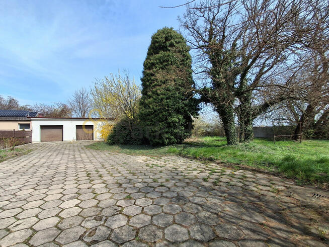 Dom Borek Wielkopolski,