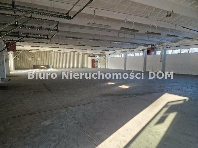 Lokal użytkowy Częstochowa Błeszno