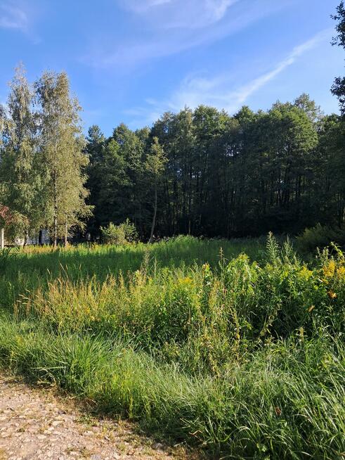 Działka budowlana Pęclin gm. Wiązowna