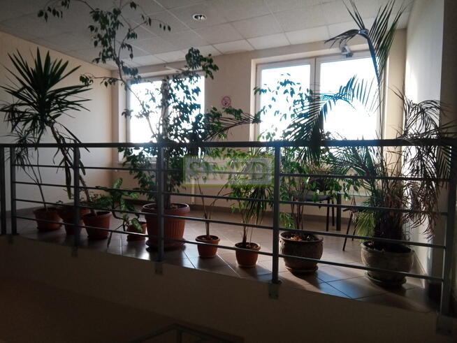 Małe biuro, sala konferencyjna,parking,24h,ochrona