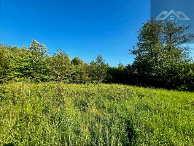 Działka rolno-budowlana Tarnów Krzyż, Gruszkowa