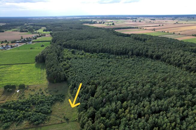 Działka rolna Sarbia gm. Mieścisko