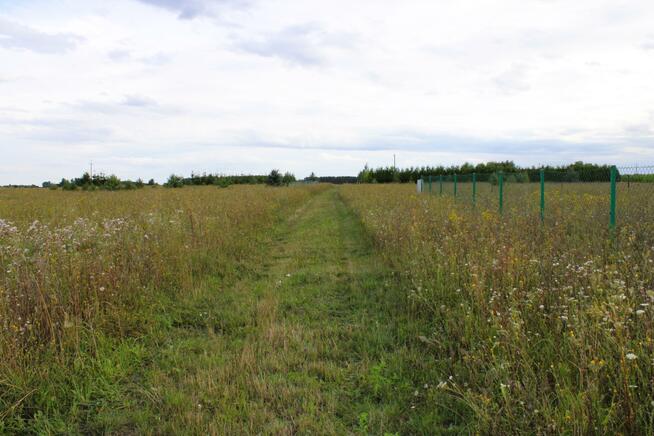 Działka rolna Sarbia gm. Mieścisko