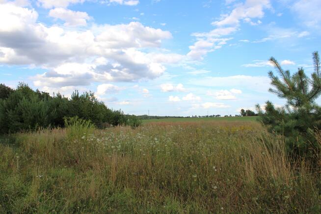 Działka rolna Sarbia gm. Mieścisko