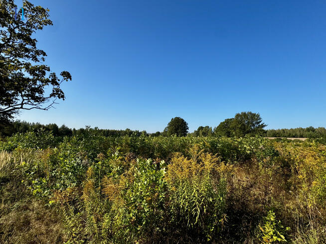 Działka inwestycyjna Stary Imielnik gm. Stryków,