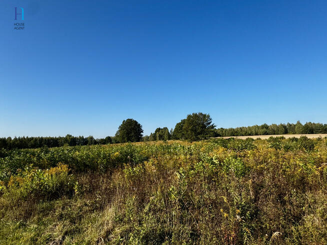 Działka inwestycyjna Stary Imielnik gm. Stryków,