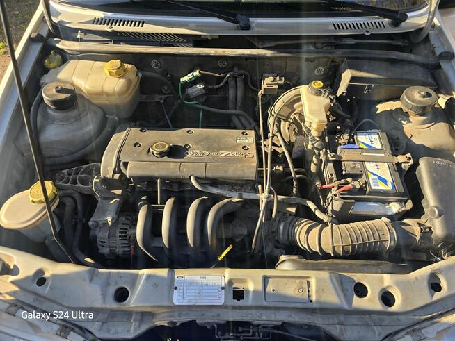 Fiesta 20 lat w rodzinie