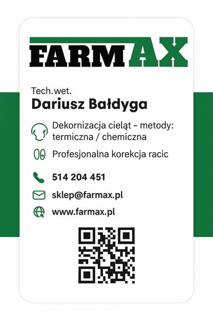 Dekornizacja Cieląt (usuwanie zalążków rogów )