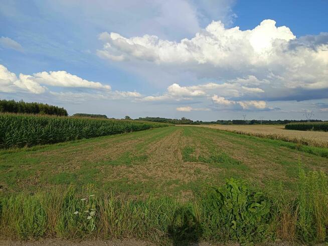 Działka w Dzierdziówce 57 ar