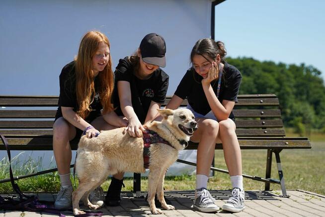 Gumiś - pojętny psiak o nietuzinkowej urodzie