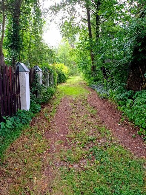 POSESJA całoroczna do zamieszkania Dwa Domy pod Lasem