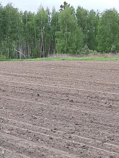 Sprzedam działke budowlana/rolną