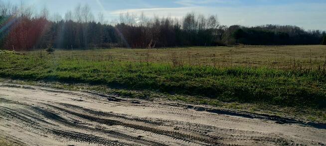 Działka budowlana UZBROJONA w Borku gm Deszczno