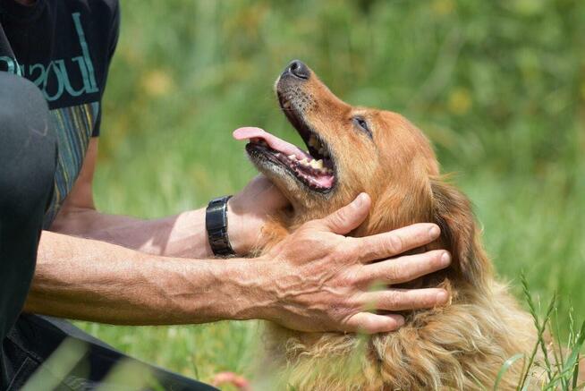 Misio - raz aniołek raz diabełek