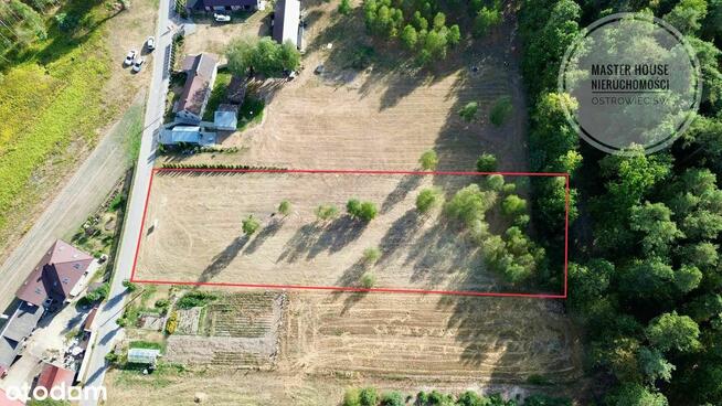 Idealna działka na Twój wymarzony dom – blisko lasu i miasta