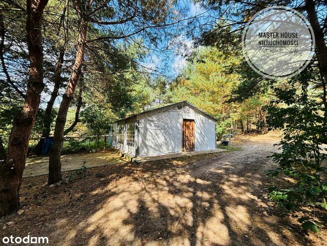 Dom z agroturystyką i 2 ha ziemi – idealna inwestycja!