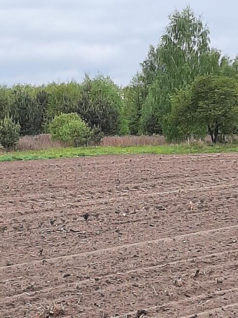 Sprzedam działke budowlana/rolną