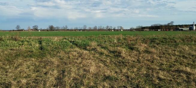 Działka budowlana UZBROJONA w Borku gm Deszczno