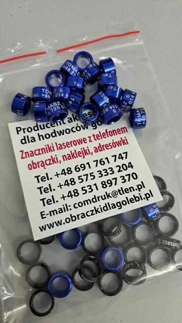 Obrączki aluminiowe 7 9 10 mm dla gołębi, ptaków PZHGP